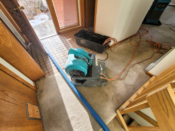 Best Water damage restoration experts  in Batesville, AR